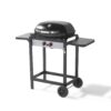2F Gas Barbecue