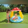Baby Mushroom Pool