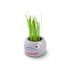 Flowerpot Kit Ocean Animals