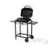 2F Gas Barbecue