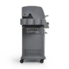 Barbecue Trend 4F + 1