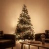 Sciliar Weihnachtsbaum 213