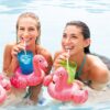 Flamingo Drink Holder
